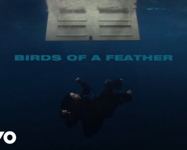 Birds Of A Feather – Billie Eilish